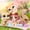 multicolor-1, variant on 4 PCS Minilpsshop Little Cat Dog Figures Toys Set,Collie Dachshund Kitten Shorthair Cat for lps Collection
