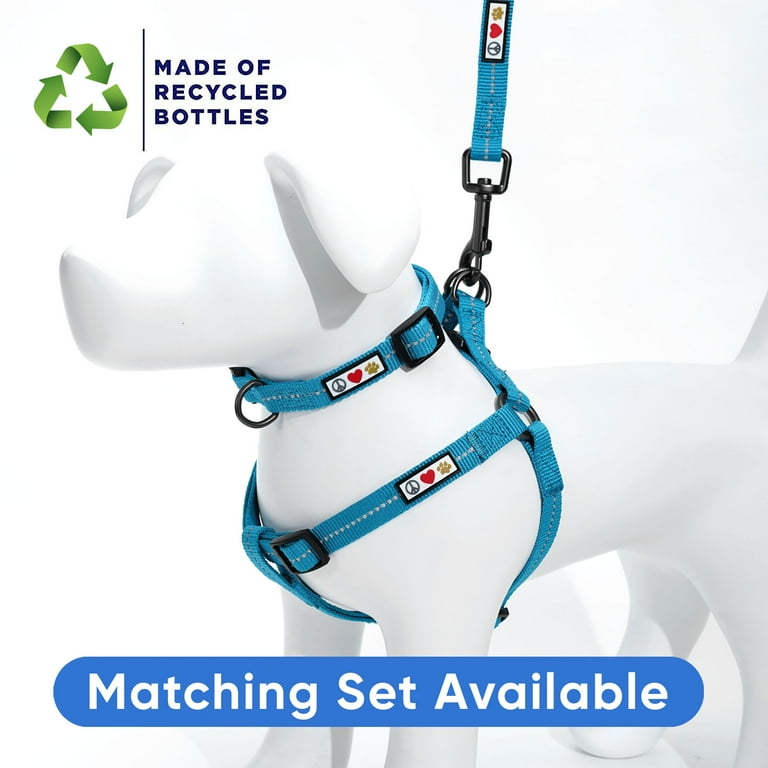 Pawtitas FT Dog Leash Reflective Dog Leash Recycled Dog Leash
