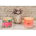 thumbnail image 5 of Mainstays Bright Hibiscus and Papaya Passion Scented 3-Wick Container Candle, 14 oz, 2-Pack, 5 of 16