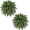42" 2 Pcs, variant on 35" Ferns Artificial Bush Plants Large, 2 Artificial Boston Ferns with 39 Fronds for Outdoors Home Decor