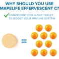 thumbnail image 3 of MapleLife Nutrition Comprimés Effervescents de Vitamine C Supplément 10 Tubes, 3 of 3