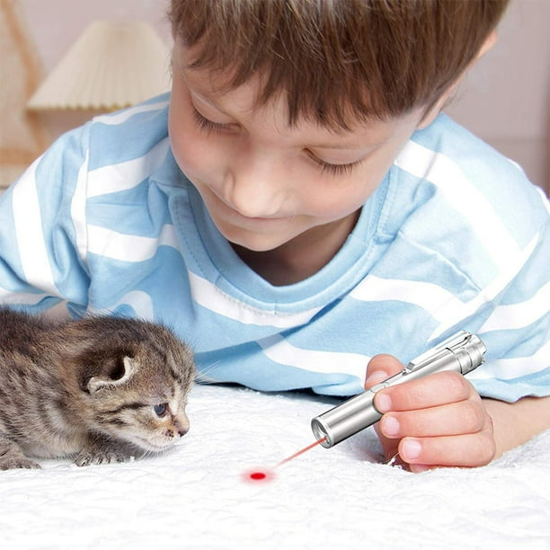Kitten laser cheap pointer