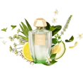 thumbnail image 5 of CREED ACQUA ORIGINALE GREEN NEROLI by Creed , EAU DE PARFUM SPRAY 3.3 OZ, 5 of 5