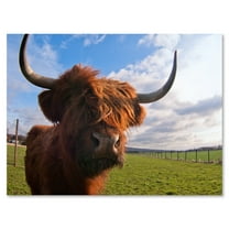 Designart ' Close Up Portrait Of A Yak ' Farmhouse Canvas Wall Art Print