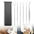 thumbnail image 3 of Flmtop 5/6Pcs/Set Stainless Steel Dog Dental Dentist Prepared Tool Tooth Care Probe Kit, 3 of 9