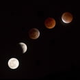 thumbnail image 2 of Ianulionoc, Vadim 12x12 White Modern Wood Framed Museum Art Print Titled - Moon At Play, 2 of 4