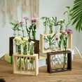 thumbnail image 6 of Tabletop Hanging Glass Planter Propagation Station Modern 3 Test Tube Flower Bud Vase In Wood Stand Rack Tabletop Terrarium For Hydroponic Plants Cuttings Office Home Decoration,-Dark -Tabletop, 6 of 6