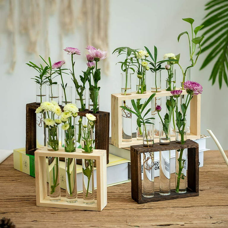 Tabletop Hanging Glass Planter Propagation Station Modern 3 Test Tube  Flower Bud Vase in Wood Stand Rack Tabletop Terrarium for Hydroponic Plants  Cuttings Office Home Decoration, Gift for Plant Lover 