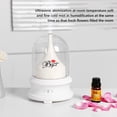 thumbnail image 5 of Aromatherapy Machine USB Aroma Humidifier with Eternal Flower Design and Colorful Night Light Ideal for Home,Bedroom,Living Room,Yoga Spa,Security Shutoff, 5 of 5