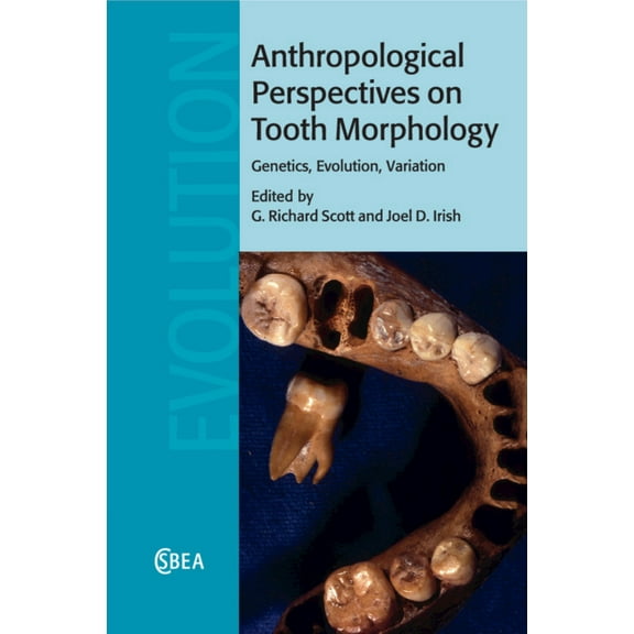 Cambridge Studies in Biological and Evol Anthropological Perspectives on Tooth Morphology, Book 66, (Paperback)