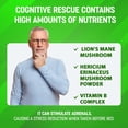 thumbnail image 4 of Superfood Science Cognitive Rescue Memory & Focus Mushroom Supplement, 500mg, 4 of 12