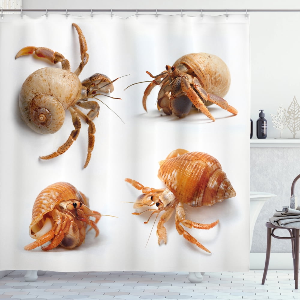 Crabs Decor Shower Curtain, Sea Animals Theme Set of Hermit Crabs from
