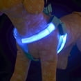 thumbnail image 4 of PetEquip Glowing Dog LED Harness Adjustable Pet Chest Back Traction Belt Puppy Collar Basic Harnesses Anti-lost Supplies, 4 of 4