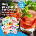 thumbnail image 2 of Craftmix Variety Pack, Makes 12 Drinks, Skinny Cocktail Mixers, Mocktails Non-Alcoholic Drinks - Made With Real Fruit - Vegan Low-Carb, Low-Sugar, Non-GMO, Dairy Free, Gluten Free, Easy to Mix, 2 of 7