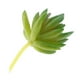 thumbnail image 5 of Planta Artificial Decoración para hogar Jardín Oficina en hogar Materiales de Bricolaje Plástico de Bricolaje Soledad Planta Succulenta Artificial, 5 of 7