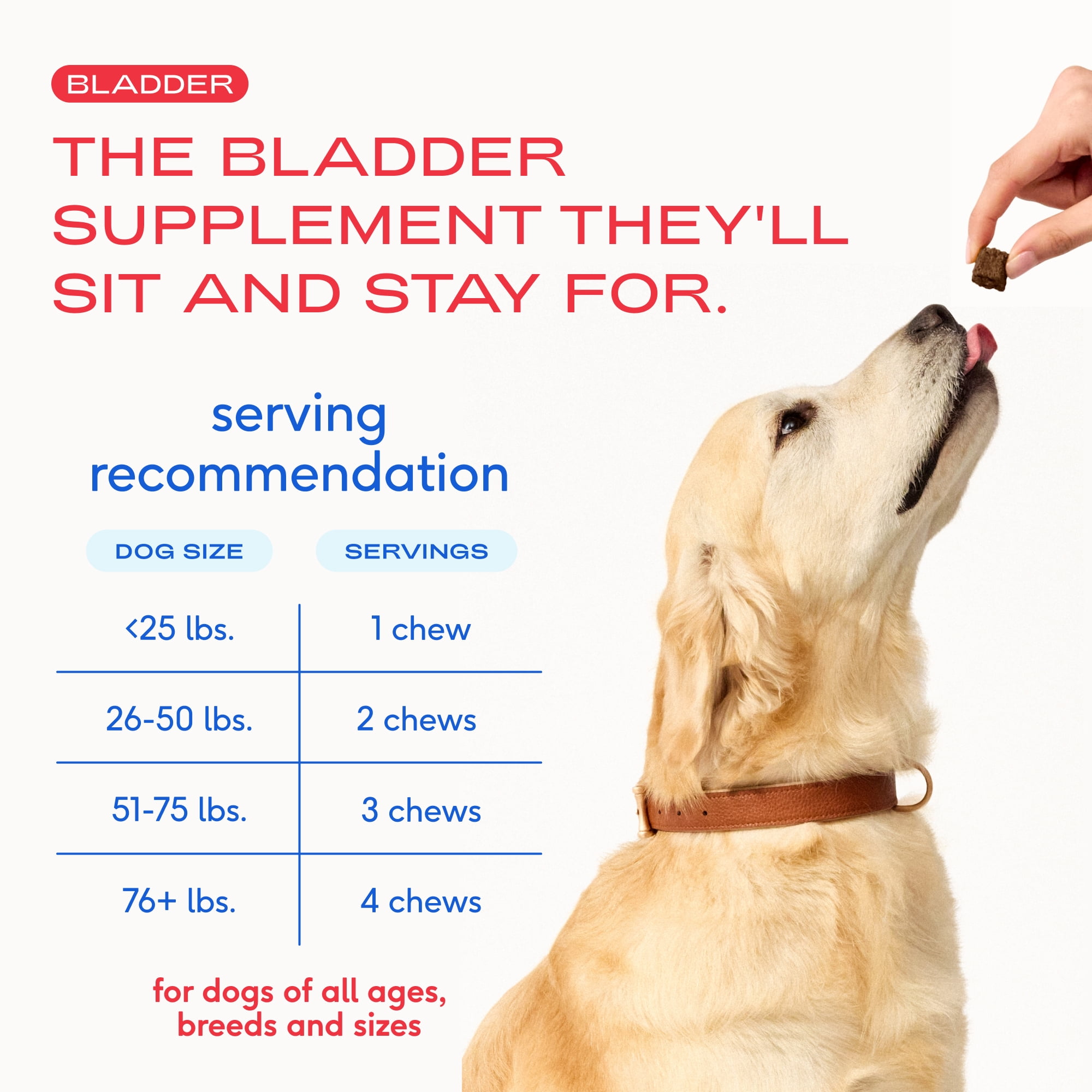 Native Pet Bladder Chews for Dogs, Urinary & Bladder Support with Cranberry for UTI and Kidney Health, 120ct