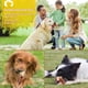 thumbnail image 5 of Juguete para masticar para perros, hueso resistente, juguete de hueso indestructible, juguete resistente con forma de hueso, limpieza de dientes y juguete inteligente para perros, 5 of 7