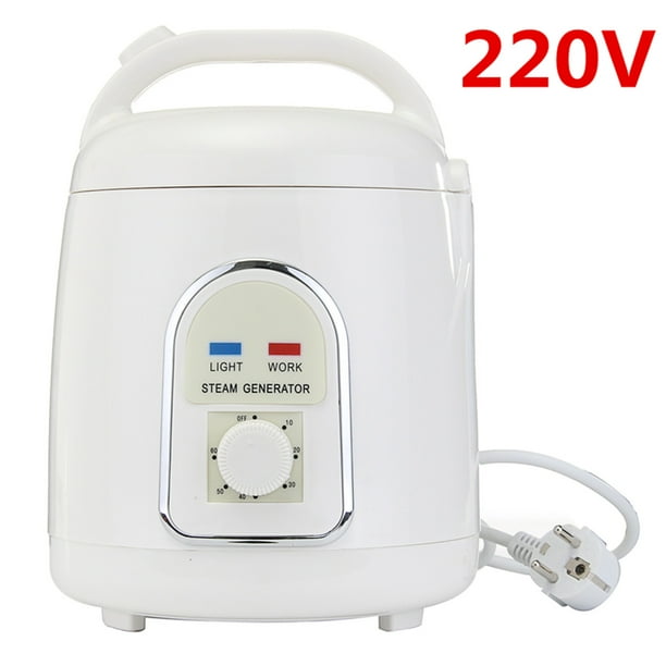 1.8L Portable Sauna Steamer Pot Sauna Spa Fumigation Machine For Home