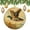 pattern-2123, variant on Ceramic Christmas Ornament Vintage Animal Anas Platyrhynchos Bird Custom 3" Ceramic 2024 Xmas Ornament Christmas Ornaments for Christmas Tree Decorations Mallard Duck Soaring Christmas Ornaments