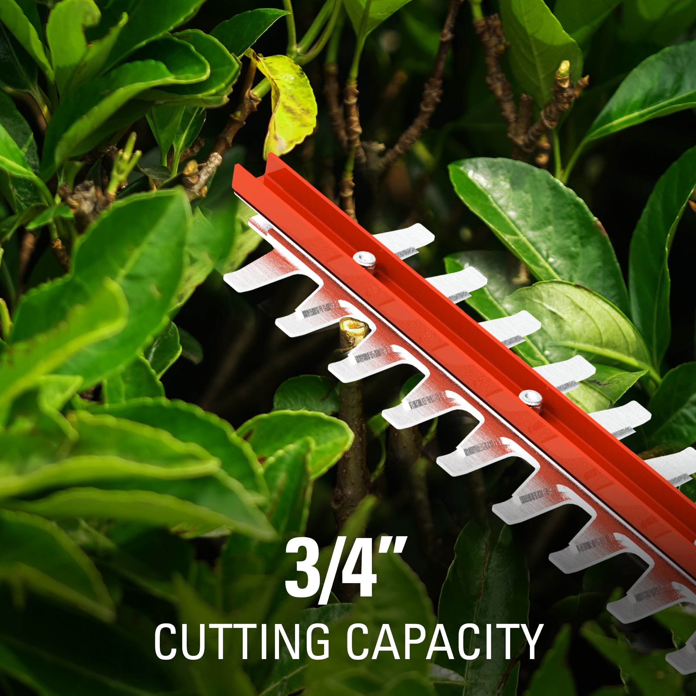 Greenworks 40V 24-inch Hedge Trimmer with 2.5 Ah Battery and Quick Charger, 2207902