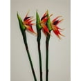 thumbnail image 6 of HAOSHICS 6Pcs Artificial Heaven Bird Flowers,Fake Bird of Paradise Strelitzia,Faux Silk Plants for Home Office Wedding Table Centerpeice Decor (Orange Large), 6 of 6