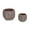 Plum, variant on DII Distressed Cement Planter Pot, Small 4.5x4"/Large 6.25x5.5", Black Scallop, 2 Piece