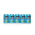 thumbnail image 3 of 24 Latas Agua De Coco El Mexicano 310ml Natural E Hidratante, 3 of 5