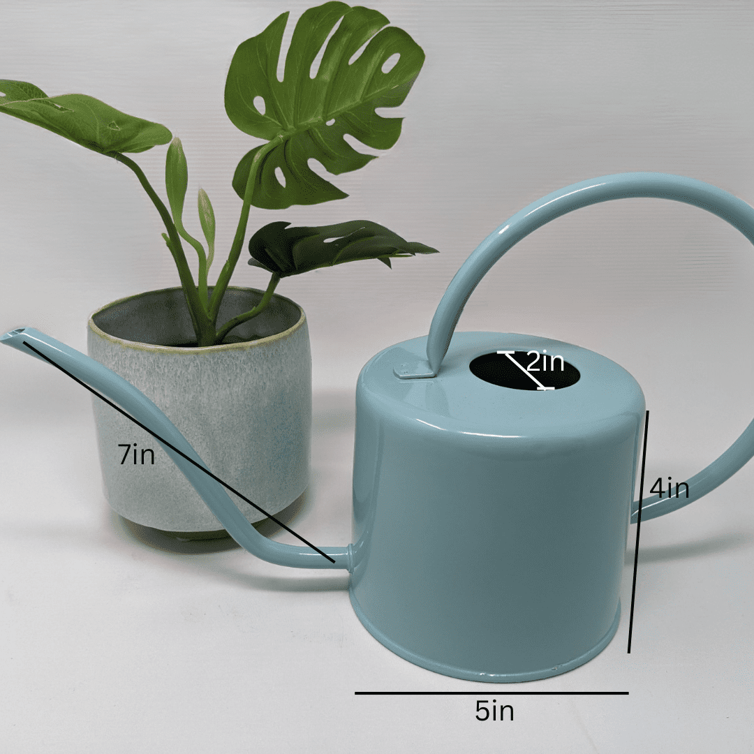 Down to Earth Basics Heavy Gauge Metal Watering Can, 1.5 Liter, Painted Teal – Indoor & Outdoor Garden Use