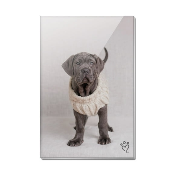 Neapolitan Mastiff Dog Nifty Sweater Rectangle Acrylic Fridge Refrigerator Magnet