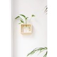 thumbnail image 4 of Estación de macetero de vidrio para propagación de plantas para colgar en la pared, 3 tubos con soporte de madera, florero de escritorio, color beige, 4 of 5