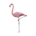 thumbnail image 2 of Pink Flamingo Wall Decal by Wallmonkeys Peel and Stick Graphic (18 in H x 11 in W) WM43824, 2 of 4