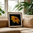 thumbnail image 2 of Black Eyed Susan - Photography Floral Flowers Botanical Nature Garden Summer Scenic Oak Framed Wall Art Print 16 x 16 inches, 2 of 8