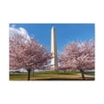 thumbnail image 3 of Mall Washington Blossom Festival Nature Wilderness Photography Canvas Wall Art for Home Decor Ready-to-Hang, 3 of 18