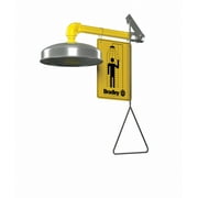 Bradley Emergency Shower, Wall Mount, Plastic, 10-3/4" Head Dia. S19-120A