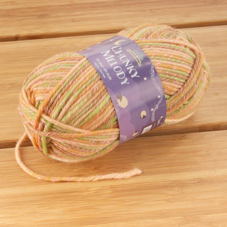 Chunky Melody Medium Weight Yarn - Splitpea Carrot - 70% Wool 30% Acrylic  Blend - 100g/skein