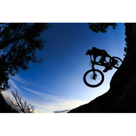 Mountain Biker Rolls Downhill Through The Pinyon Pines Near Carbondale Colorado Print Wall Art By Jay