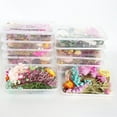 thumbnail image 5 of Farfi Dried Flowers Home Photography Props DIY Ornament Craft Specimen Accessories (Random Color&Pattern), 5 of 13