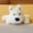 White, variant on CAIMYY Schnauzer Plush Dog Pillow Soft Cotton Stuffed Animal Toy Lifelike Cuddly Puppy For Adults And Pet Lovers 25Cm Lying Pillow Gray