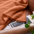thumbnail image 4 of Knitted Blanket Summer Knitted Woven Blanket Soft And Warm Decorative Blanket With Tassels For BedSofa And Living Room Office Nap Travel Travel Essentials, 4 of 9