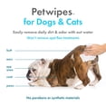 thumbnail image 3 of PetWipes Petkin 100 toallitas a base de plantas para perros y gatos, vainilla, 3 of 7