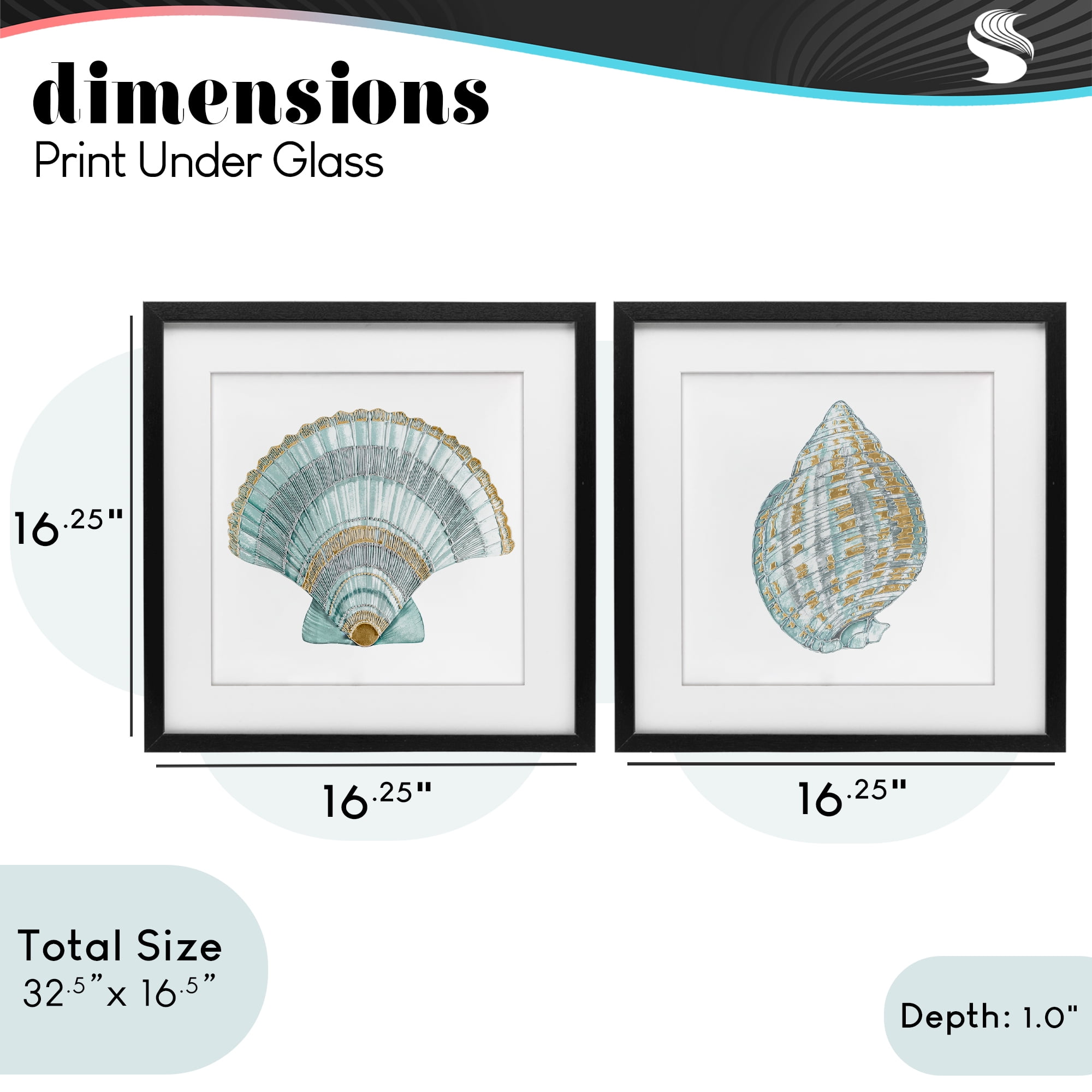Stupell Industries Regal Clam Shell Duo 2 Piece Black Framed Print Under Glass Set, design by Lorenzo Collective