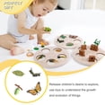 thumbnail image 3 of Bewildely 1 Juego de modelo de gusano de pala, Material plástico Premium, figuritas de insectos significativas, modelos de crecimiento educativo temprano Juguetes Educativos mariposas NO11 Bewildely FN010083-10, 3 of 6