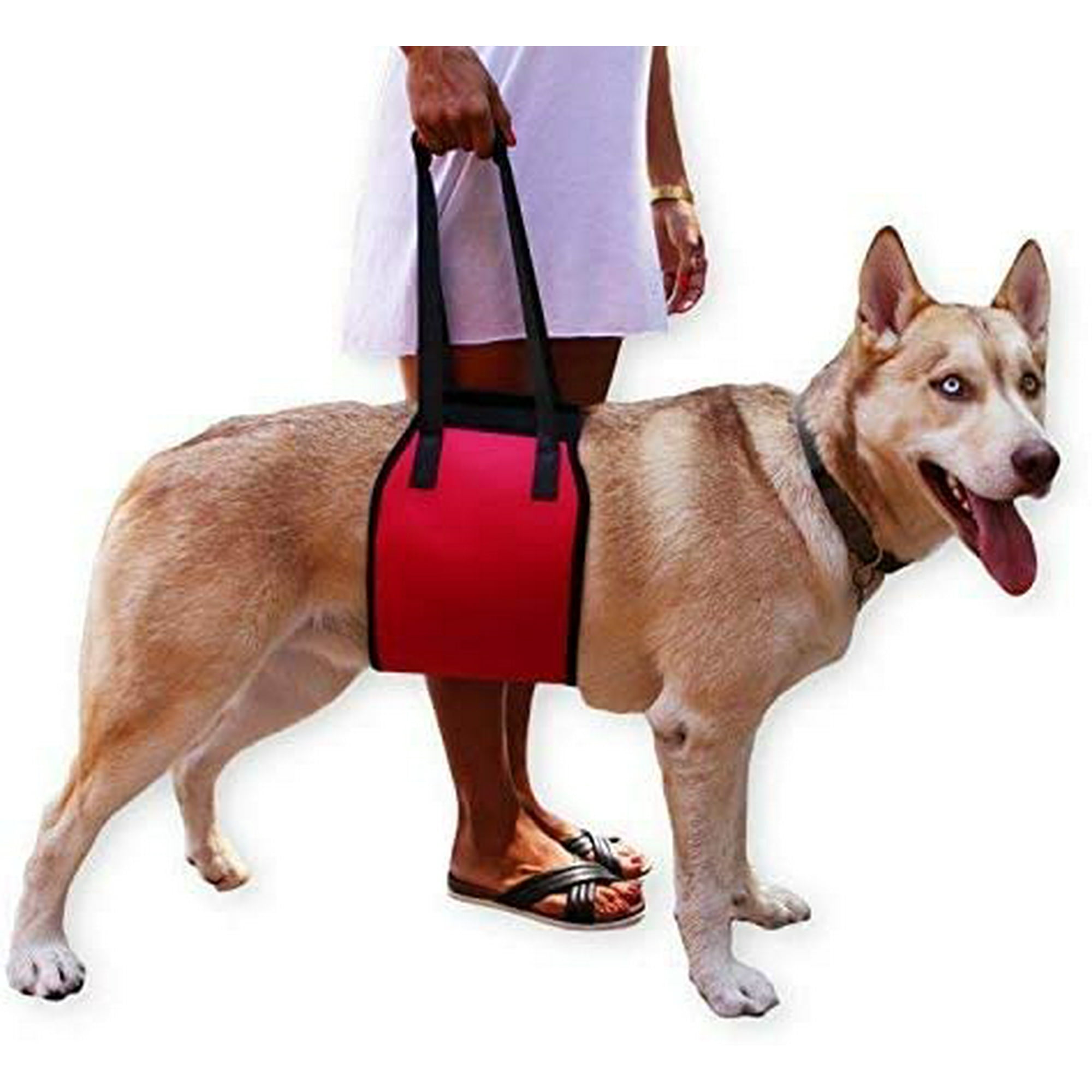 Dog hoist harness best sale