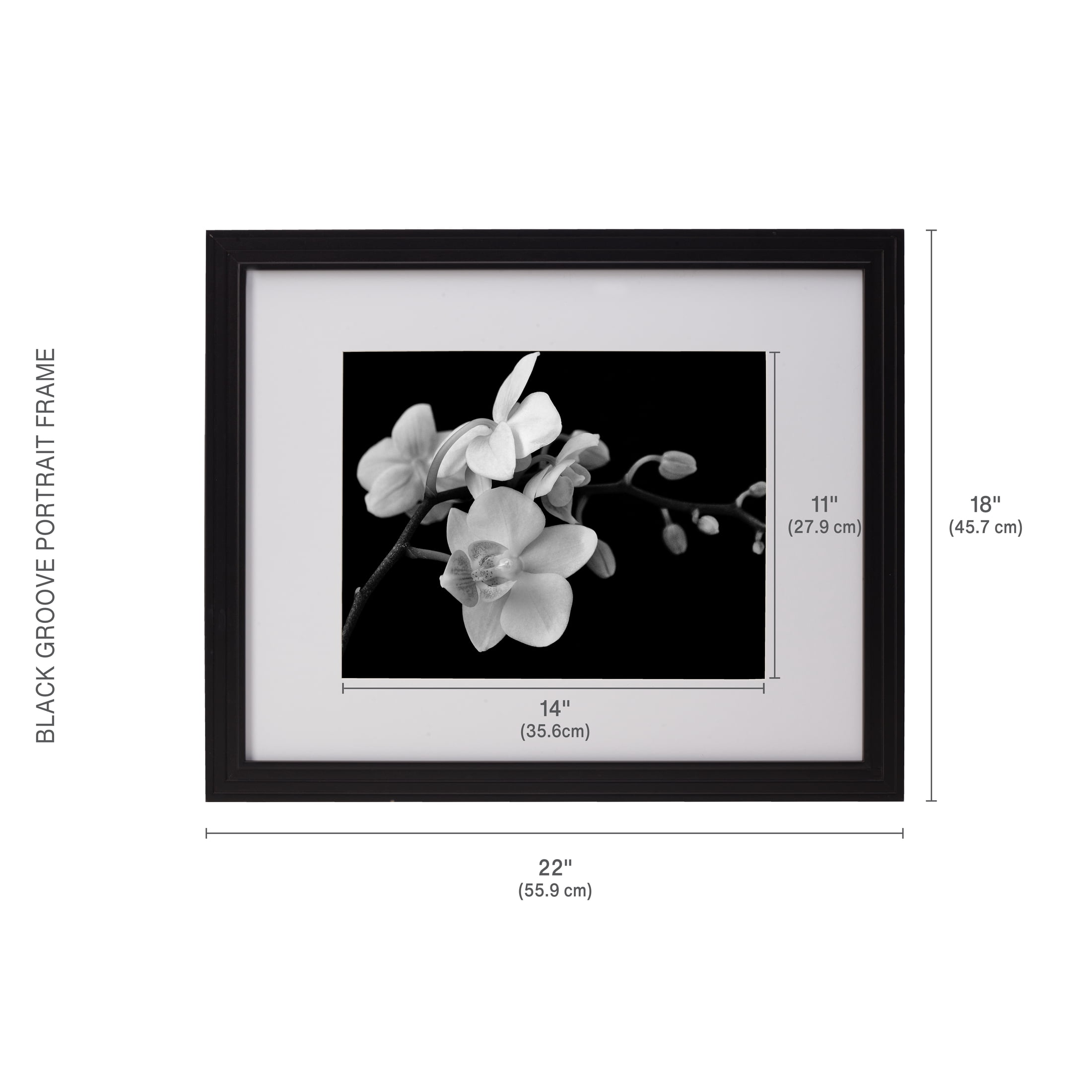 Home Accents 18X22 in Gallery Frame, Displays a 16X20 Photo without Mat and a 11X14 Photo with Mat, Black