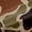 Brown Green Black, variant on Castle Fairy Big Bass Fish Black Out Curtains,Camouflage Curtains Pack of 2 (42x63 Each)
