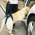 thumbnail image 3 of WE-POLUJ Large Canine Hip Support Slings Supportive Dog Rear Leg Harnesses with Handle, 3 of 18