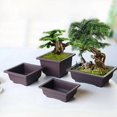 thumbnail image 2 of Typpkmm Rectangular Bonsai Training Pots with Plastic Flowerpot with Drainage, 2 of 7