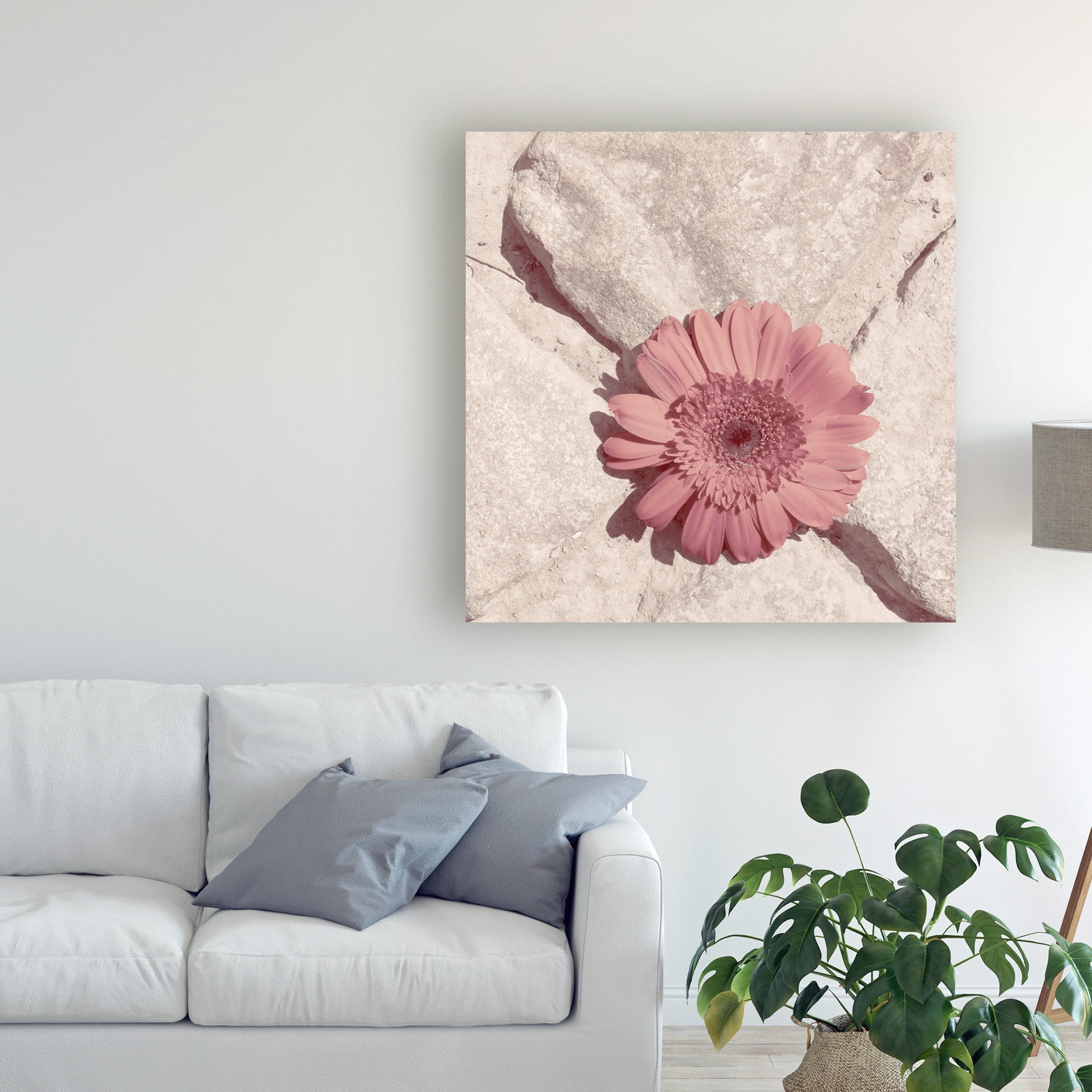 Trademark Fine Art 'Stone Blossom II' Canvas Art by Jason Johnson