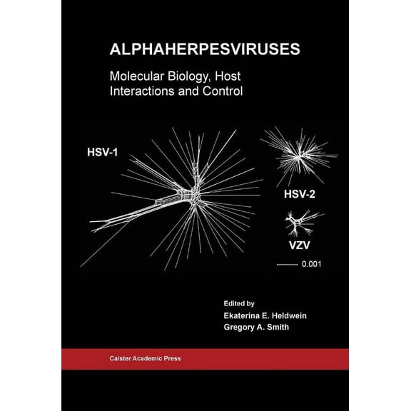 Alphaherpesviruses: Molecular Biology, Host Interactions and Control, (Paperback)