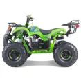 thumbnail image 2 of TaoTao T-Force Fully Automatic Mini Utility 110cc ATV, 2 of 4